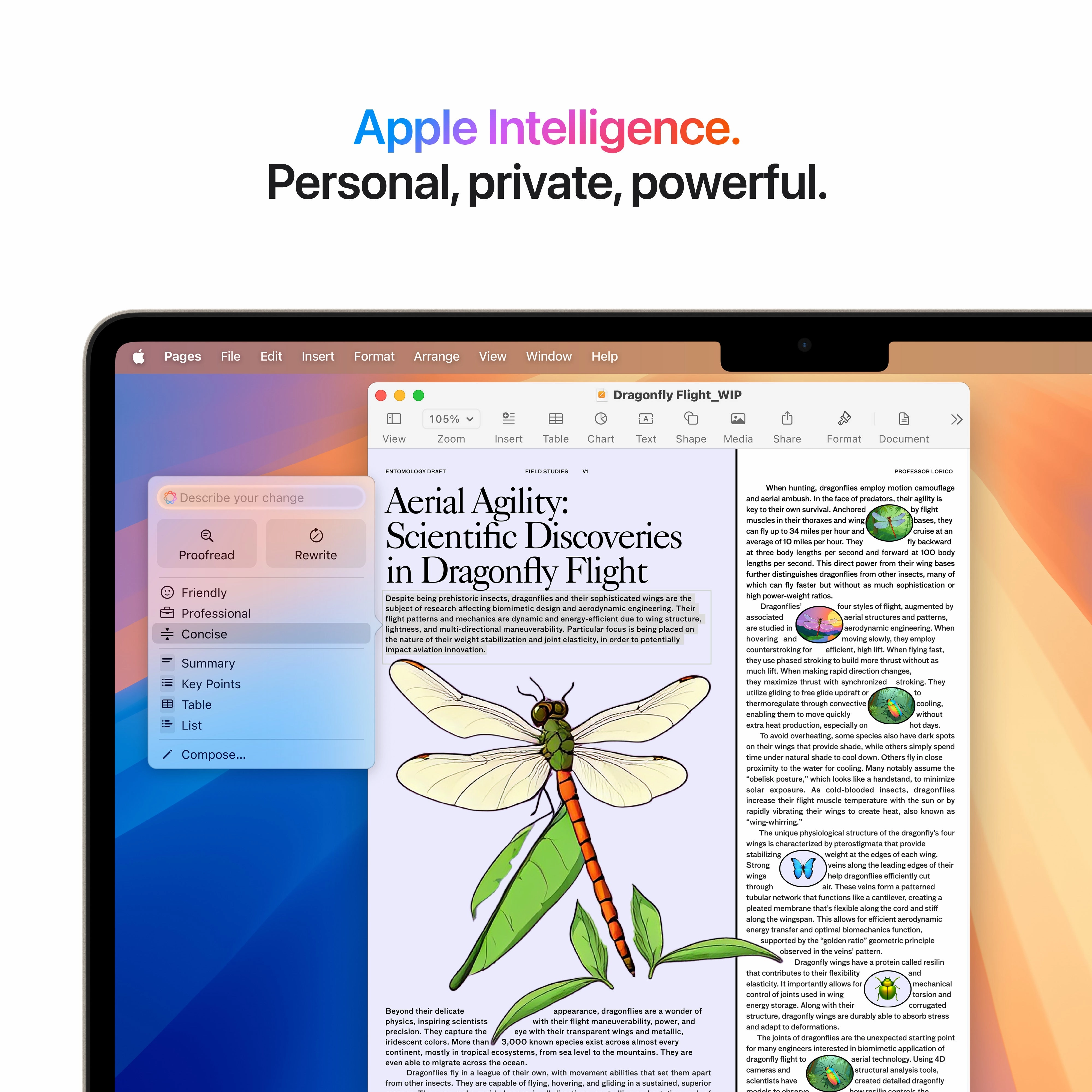 Apple MacBook Air M4 13 16GB/256GB Laptop - Starlight | MW0Y3B/A