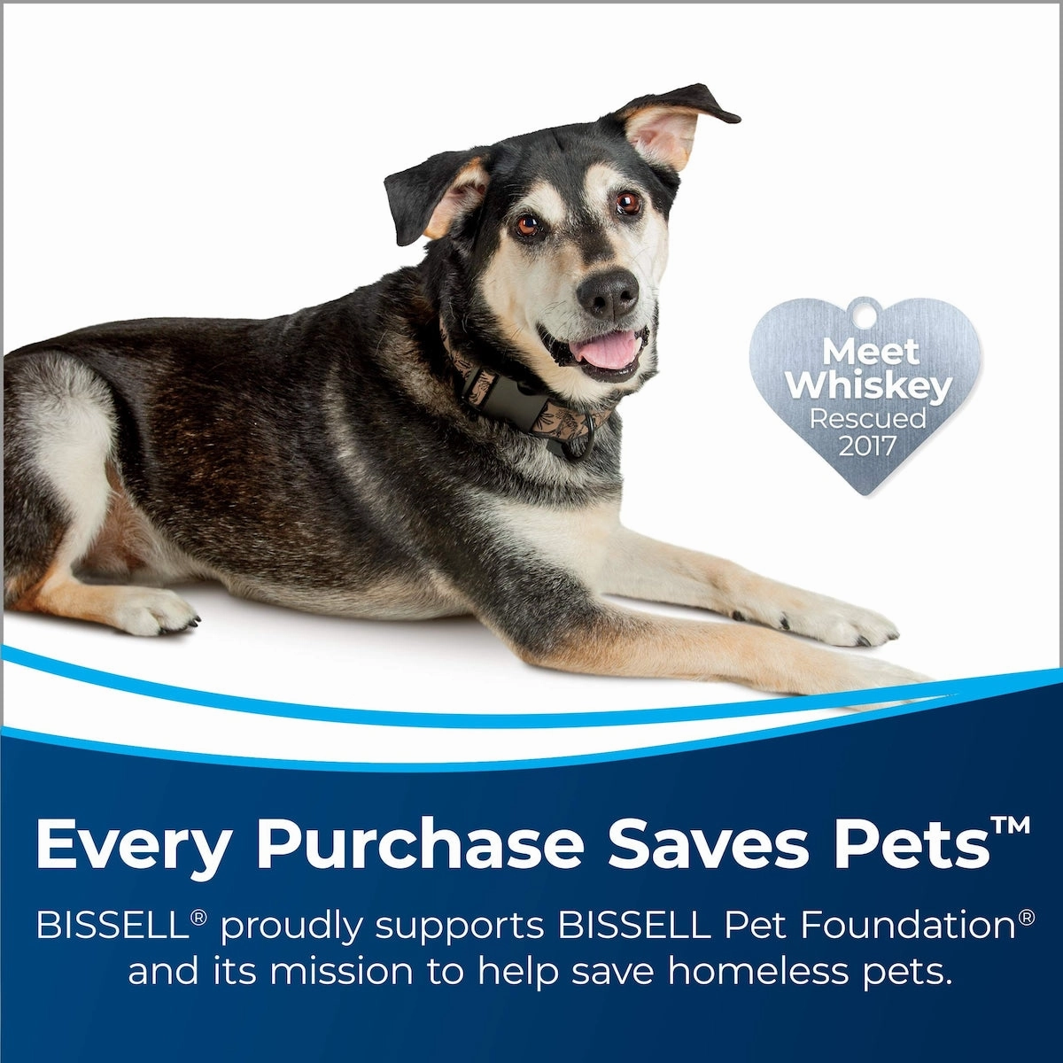 Bissell TurboClean PowerBrush Pet Carpet Cleaner. 2987