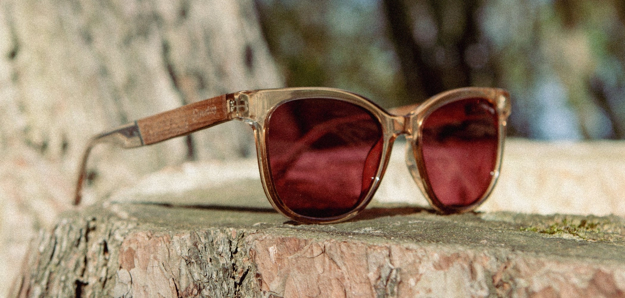CAMP Cove Sunglasses - Smokey Bear Edition