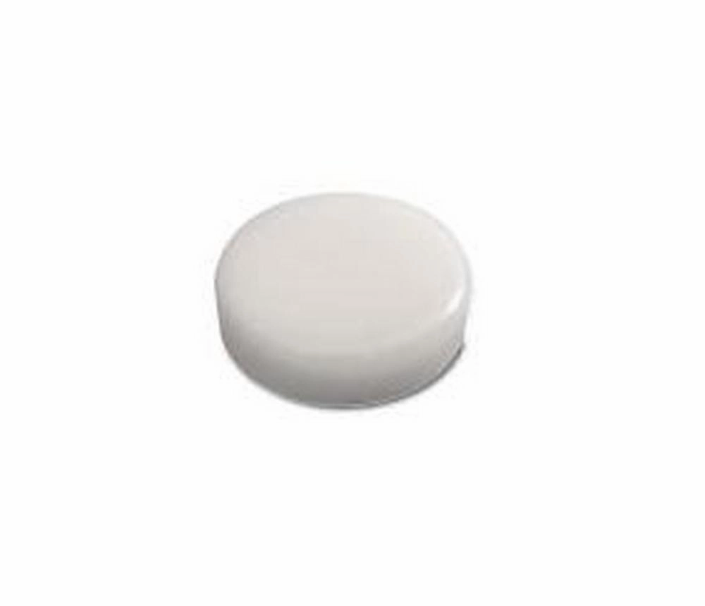 Clean Water Tank Cap Assembly