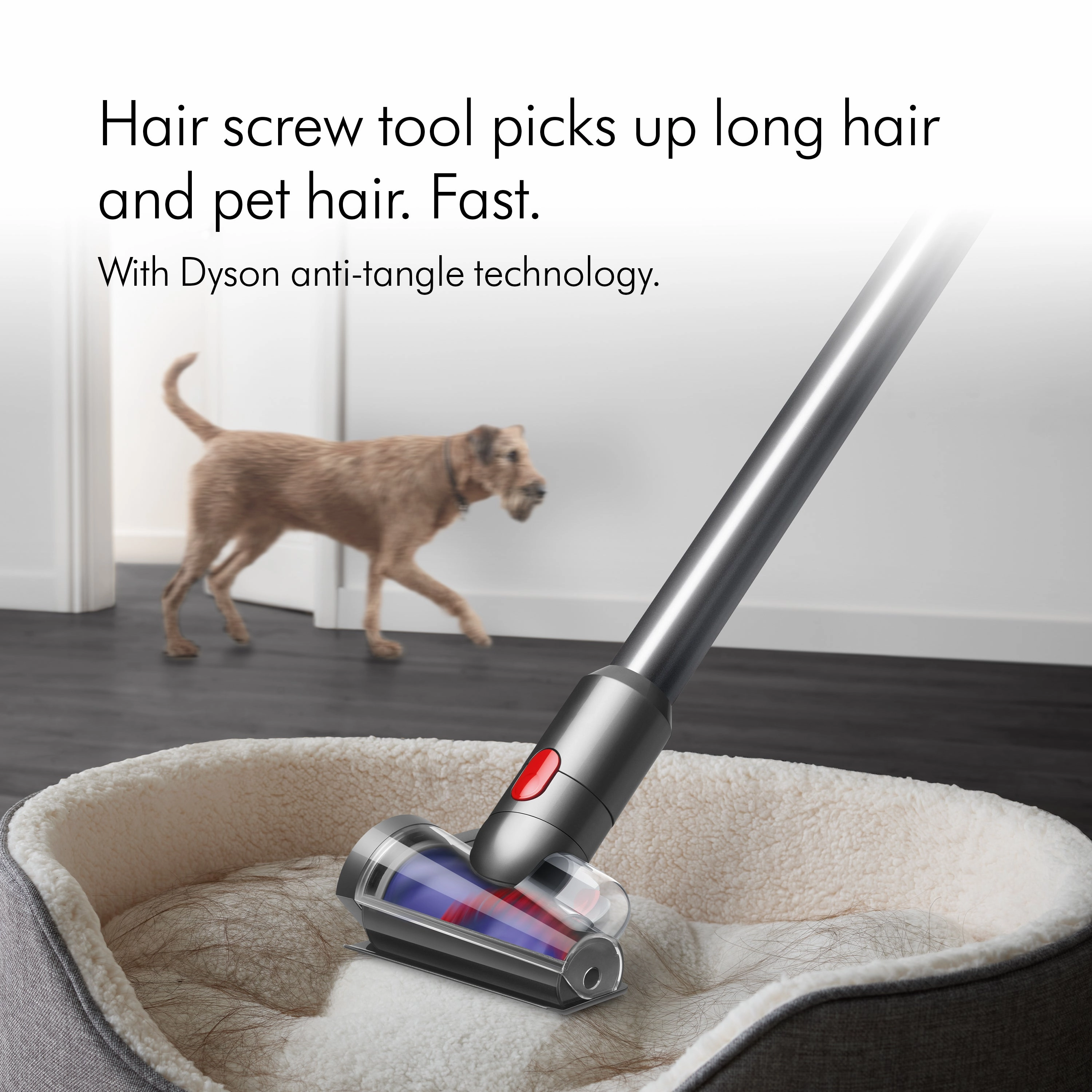Dyson V12 Absolute Cordless Vacuum Cleaner - Nickel & Yellow | V12ABSOLUTENE