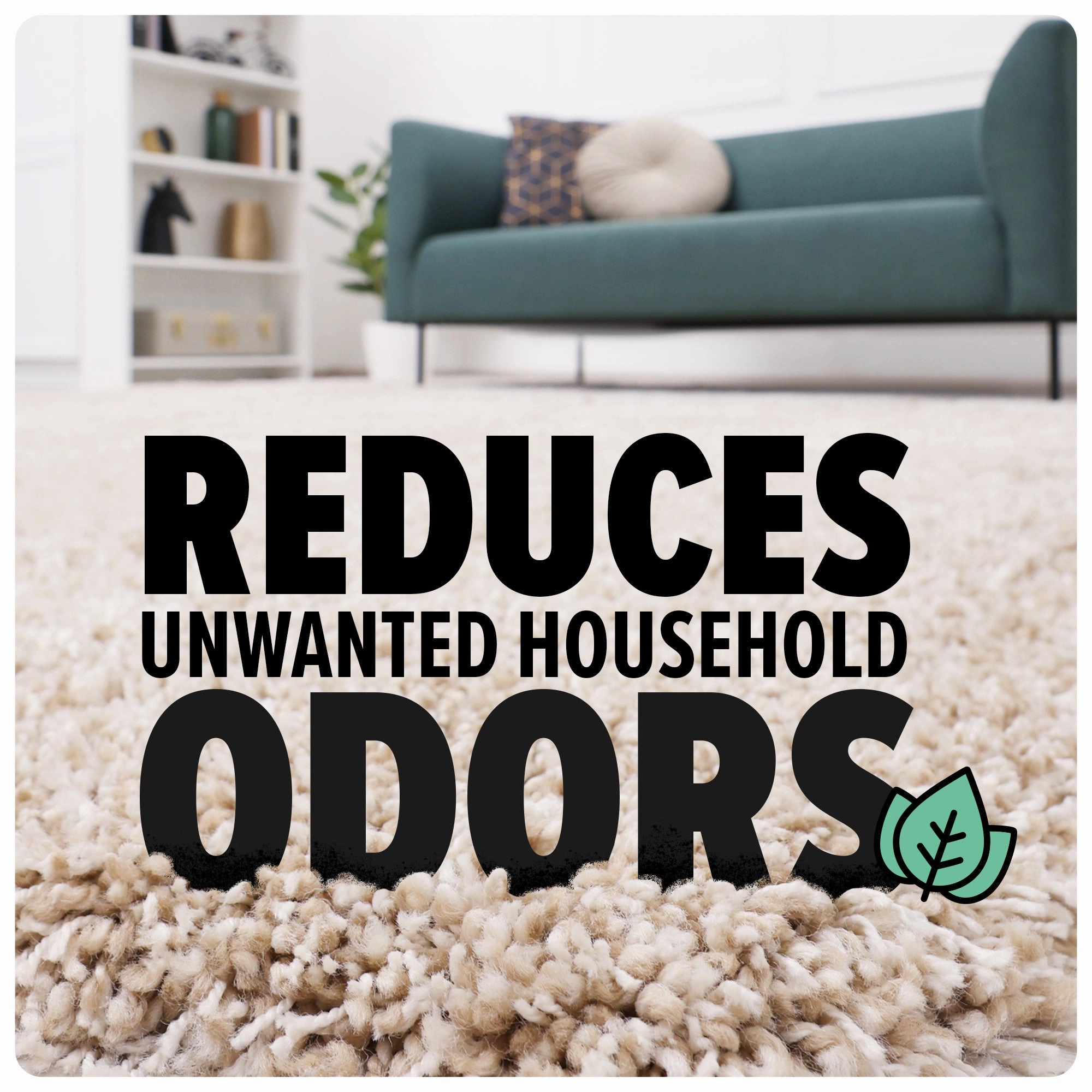 Eucalyptus Carpet Powder