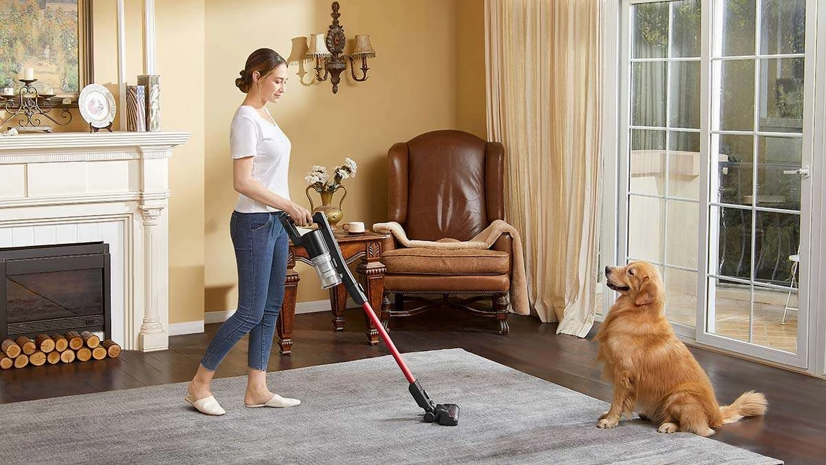Eureka Lightweight Cordless Stick NEC101