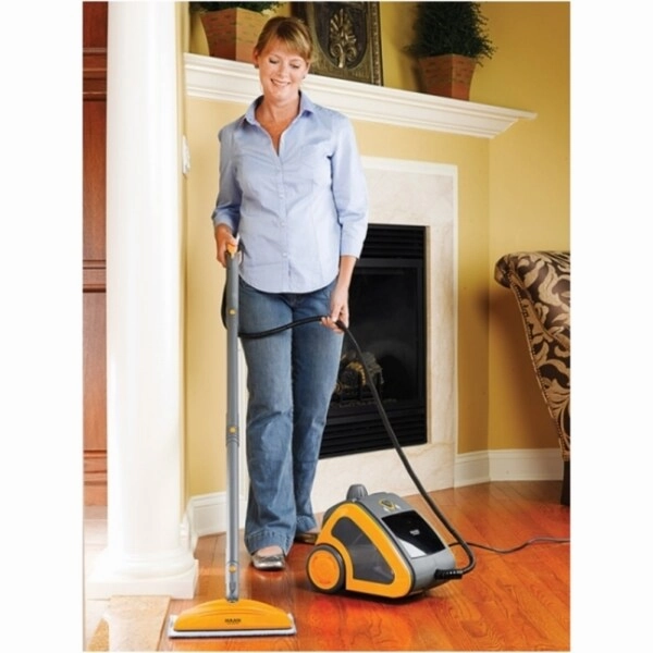Haan MS-30 Multi-purpose Steam Cleaner (Refurbished)