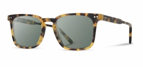 Hamilton Acetate Sunglasses
