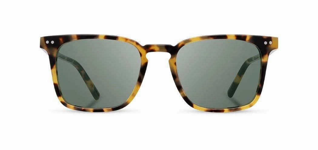 Hamilton Acetate Sunglasses
