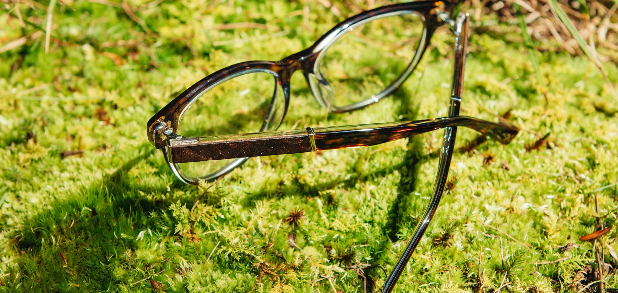 Lane Acetate RX Eyeglasses
