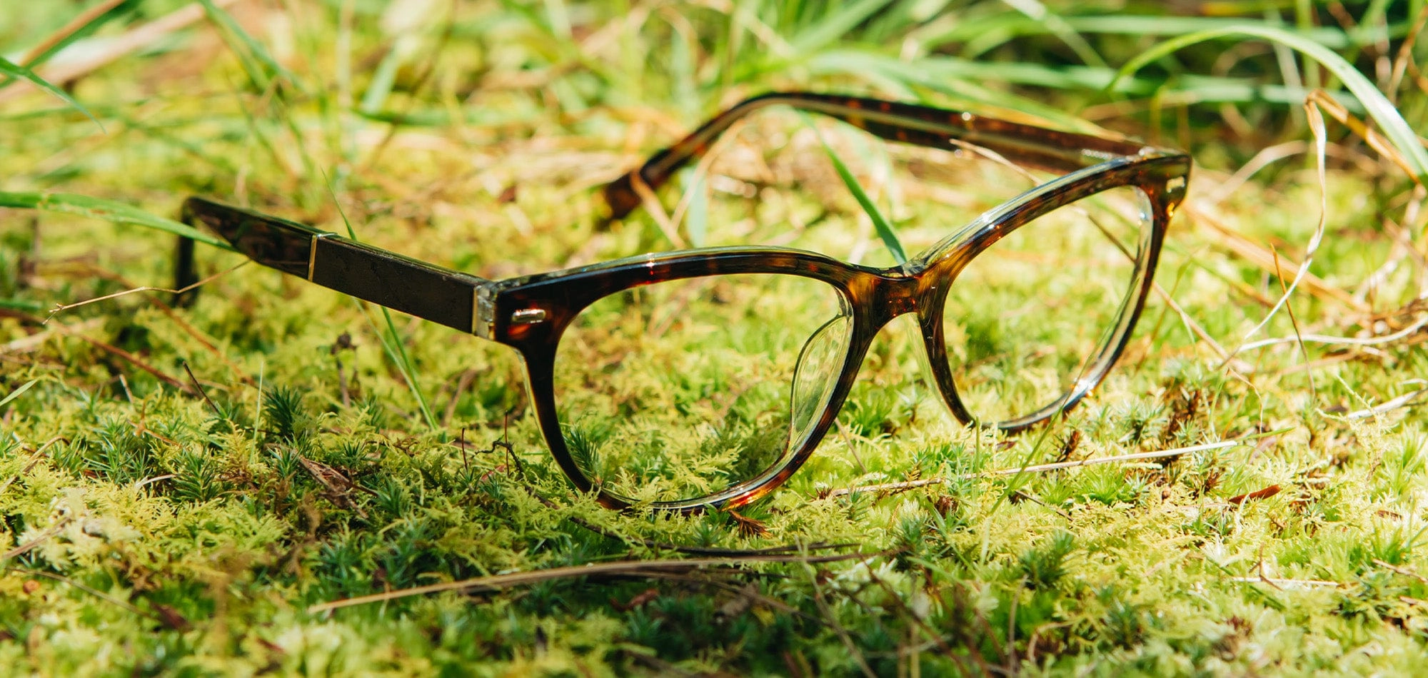 Lane Acetate RX Eyeglasses