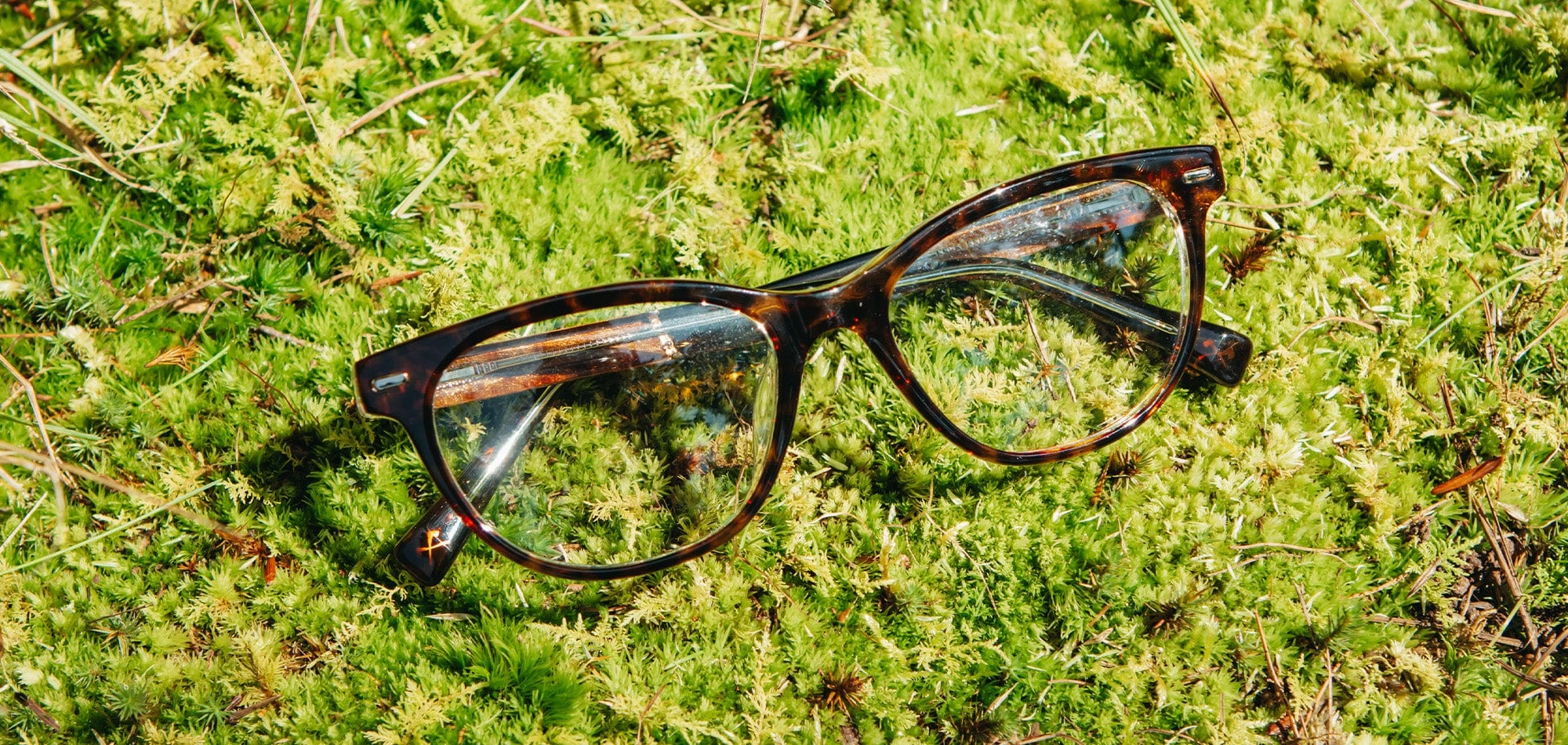 Lane Acetate RX Eyeglasses