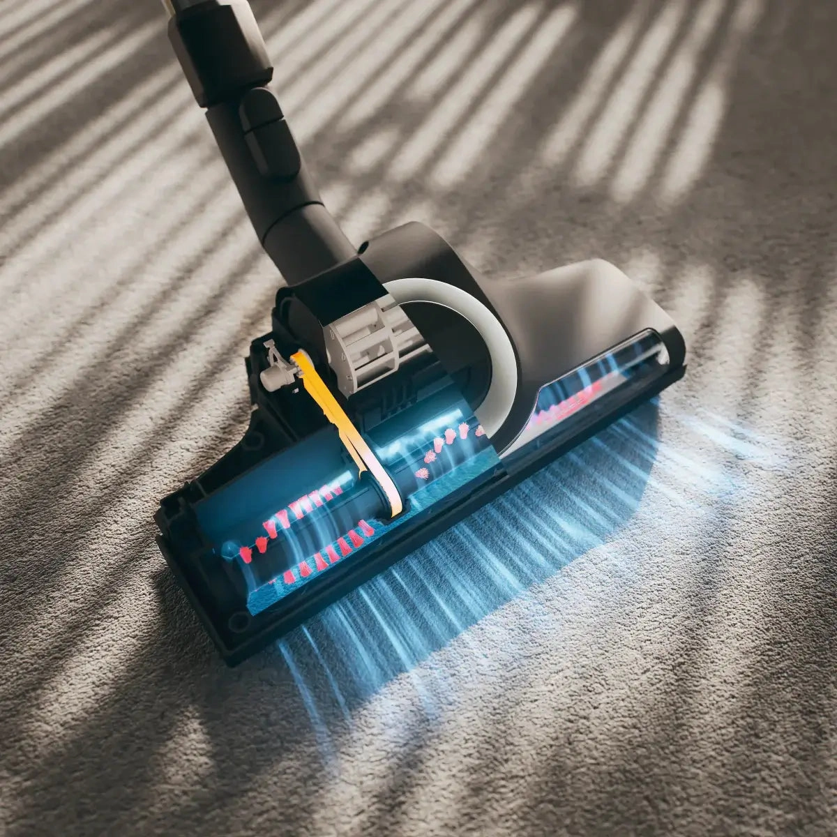 Miele Blizzard CX1 Turbo Team - Canister Vacuum