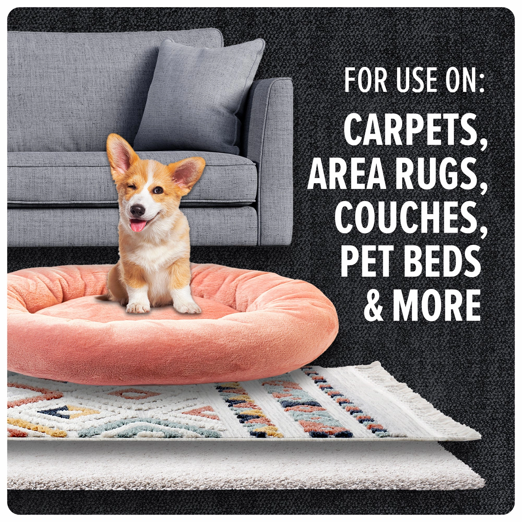 Multi-Surface Total Pet  with 2 Carpet Powders