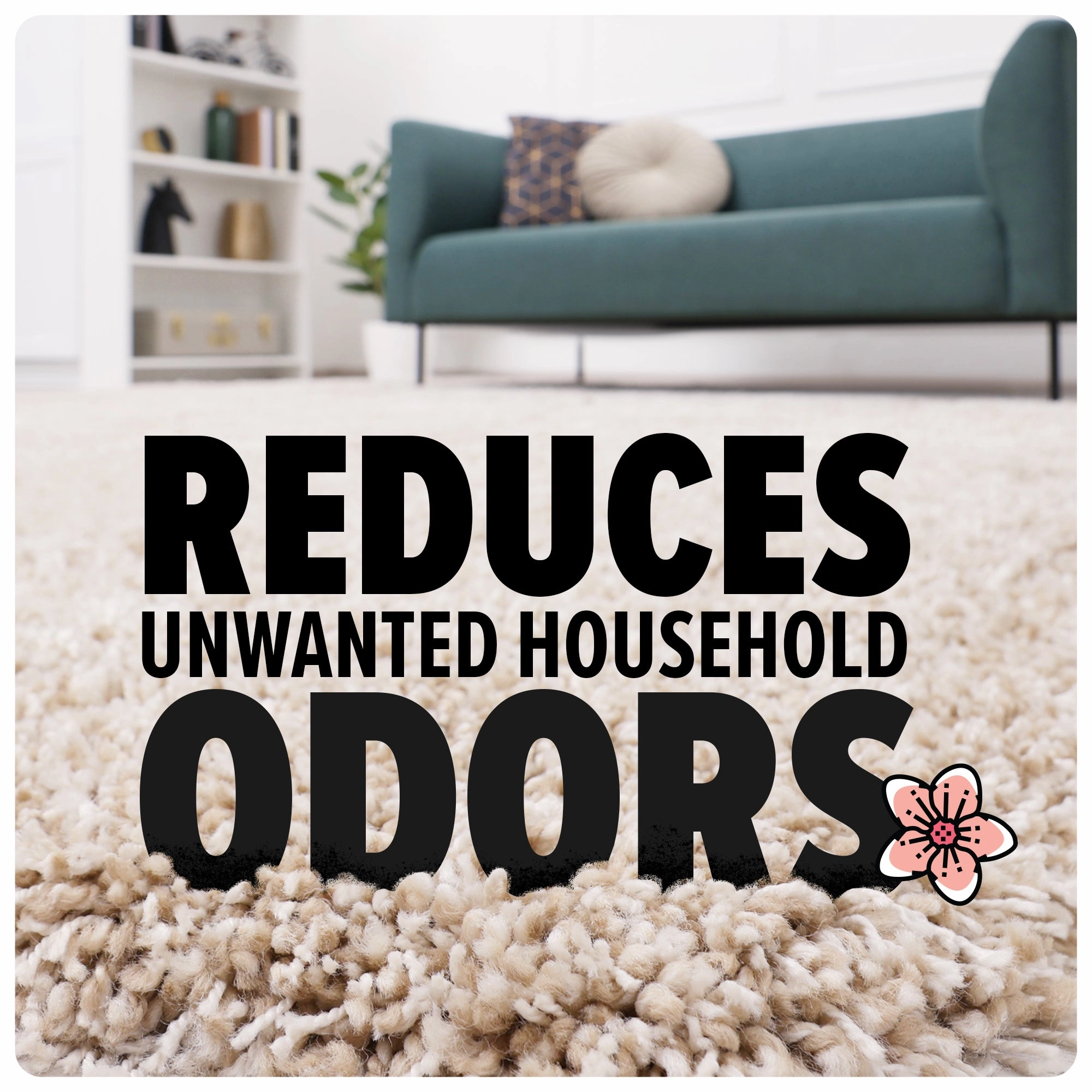 Multi-Surface Total Pet  with 2 Carpet Powders