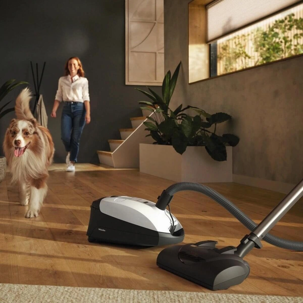 Open Box - Miele Classic C1 Cat & Dog - Canister Vacuum