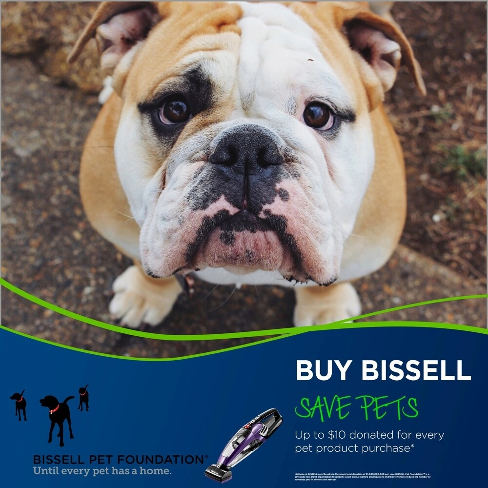 Pet Hair Eraser? Lithium Ion Cordless Pet Hand Vacuum |