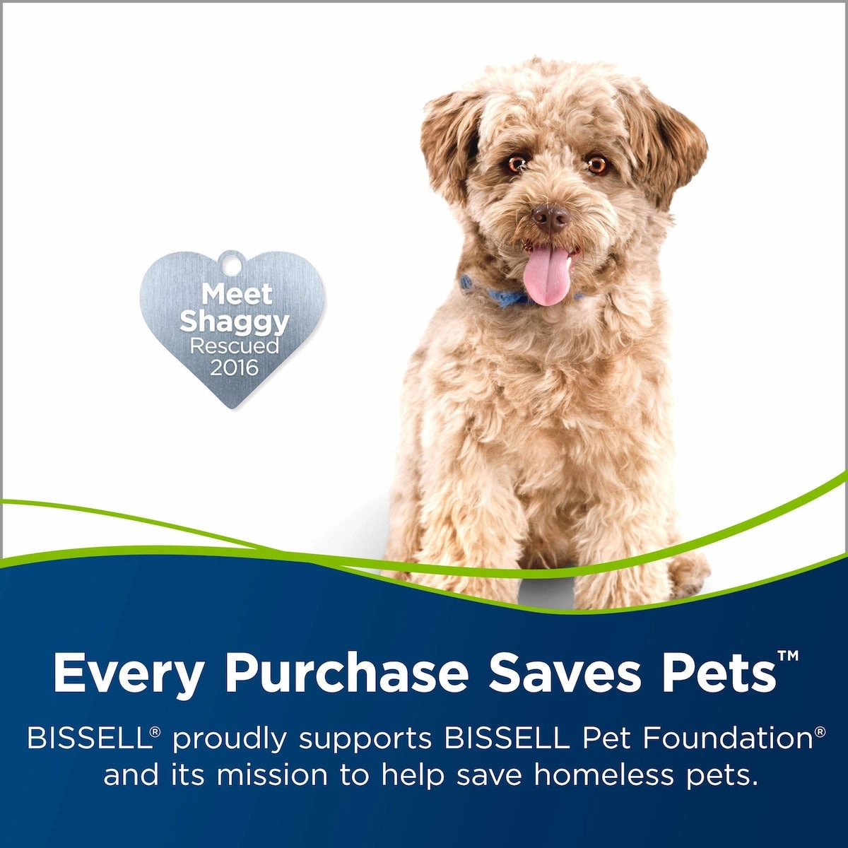 Powerbrush Pet Upright Carpet Cleaner Machine and Carpet Shampooer