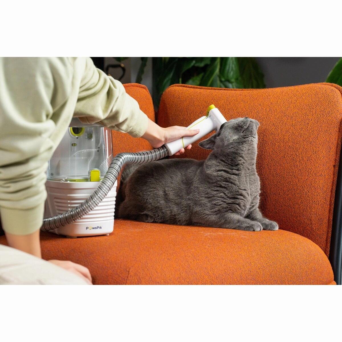 Professional Pet Grooming Kit & Vacuum. Dogs & Cats. 7-in-1