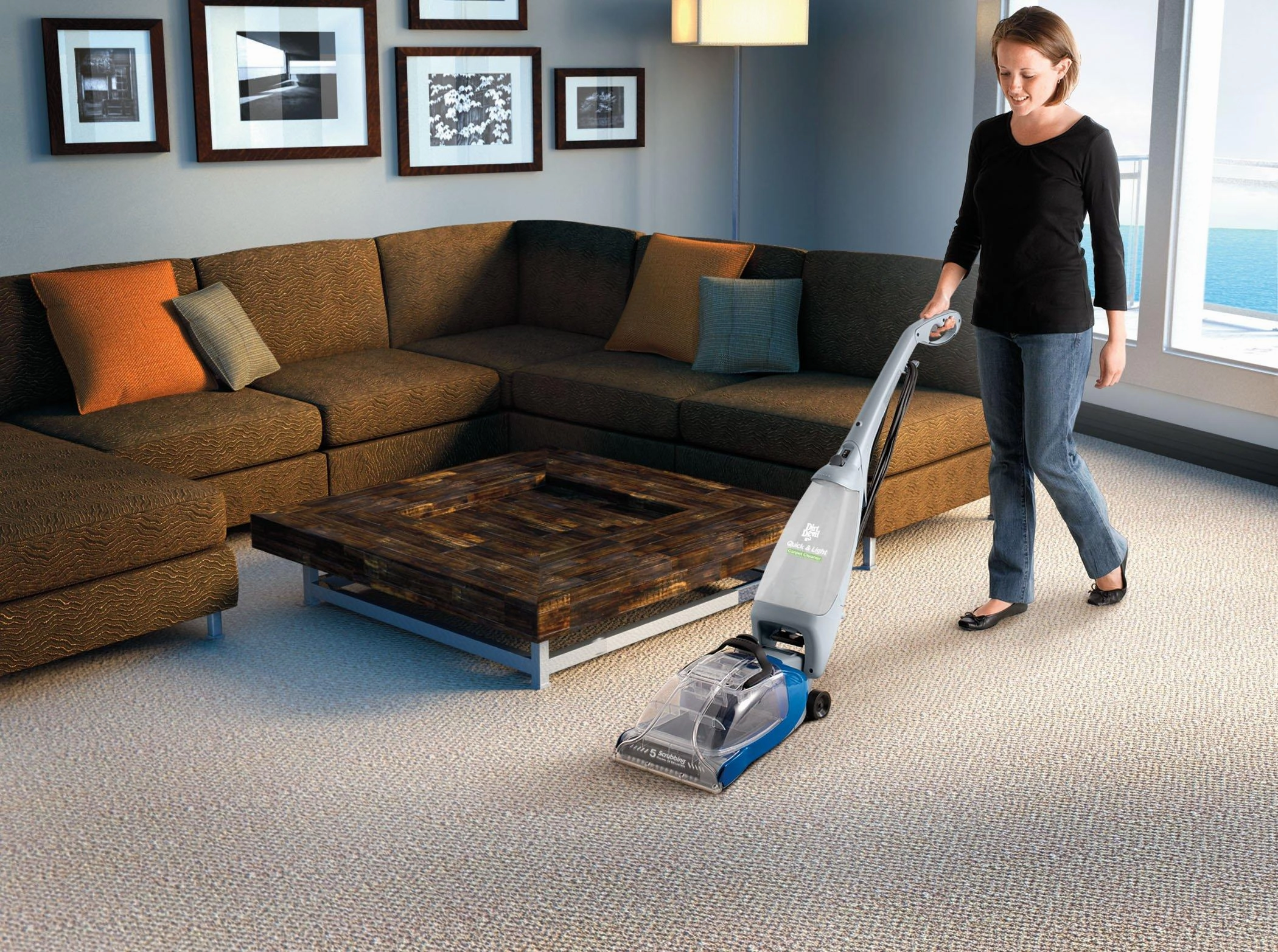 Quick & Light Carpet Washer