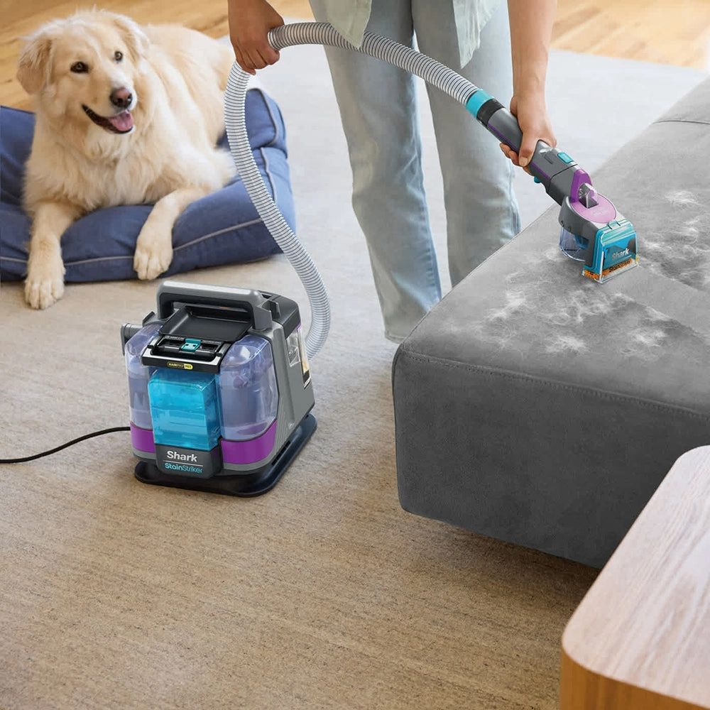 Shark StainStriker HairPro Pet Stain & Spot Vacuum Cleaner - Dark Silver & Force Fuscia | PX250UKT