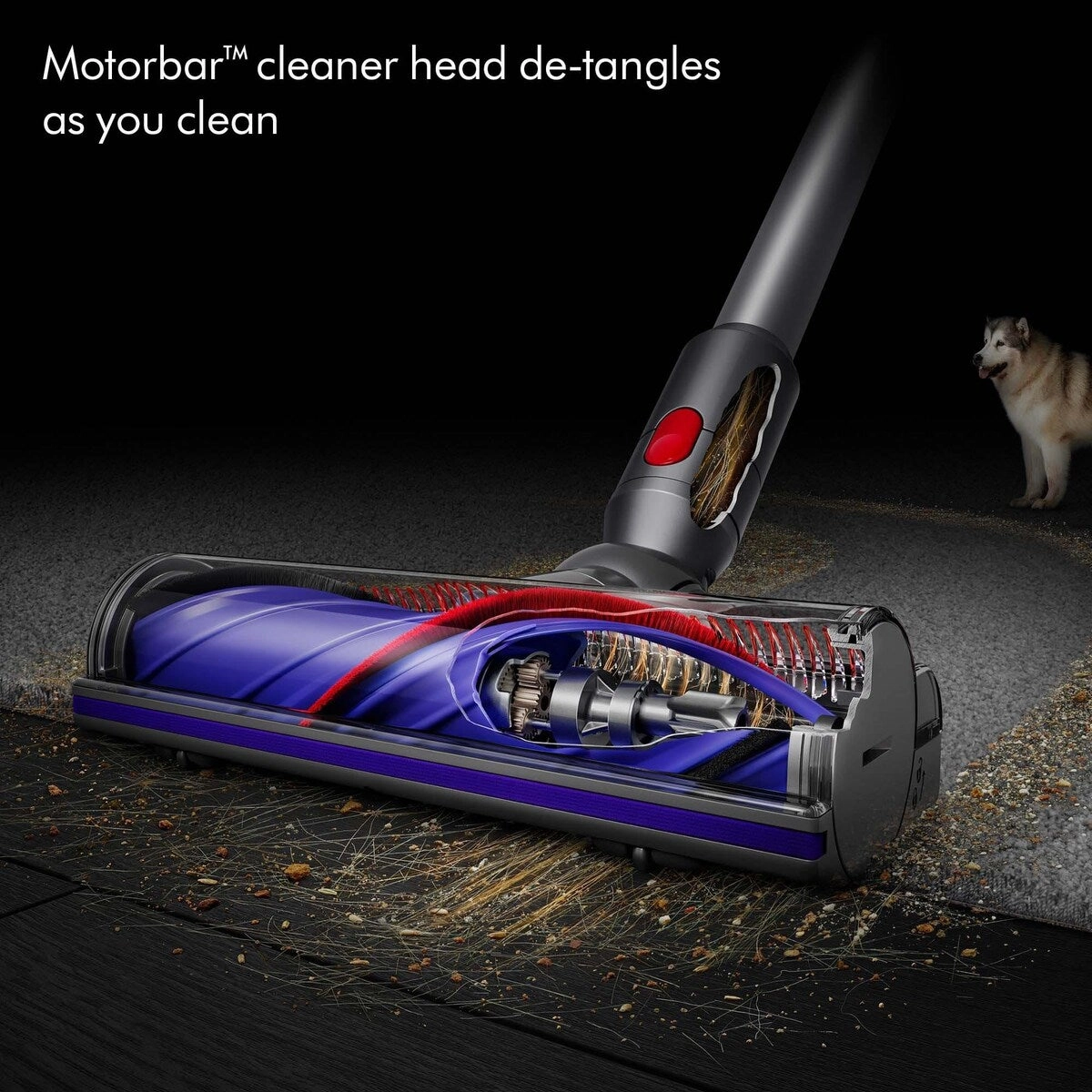 V8 Cordless Vacuum Cleaner